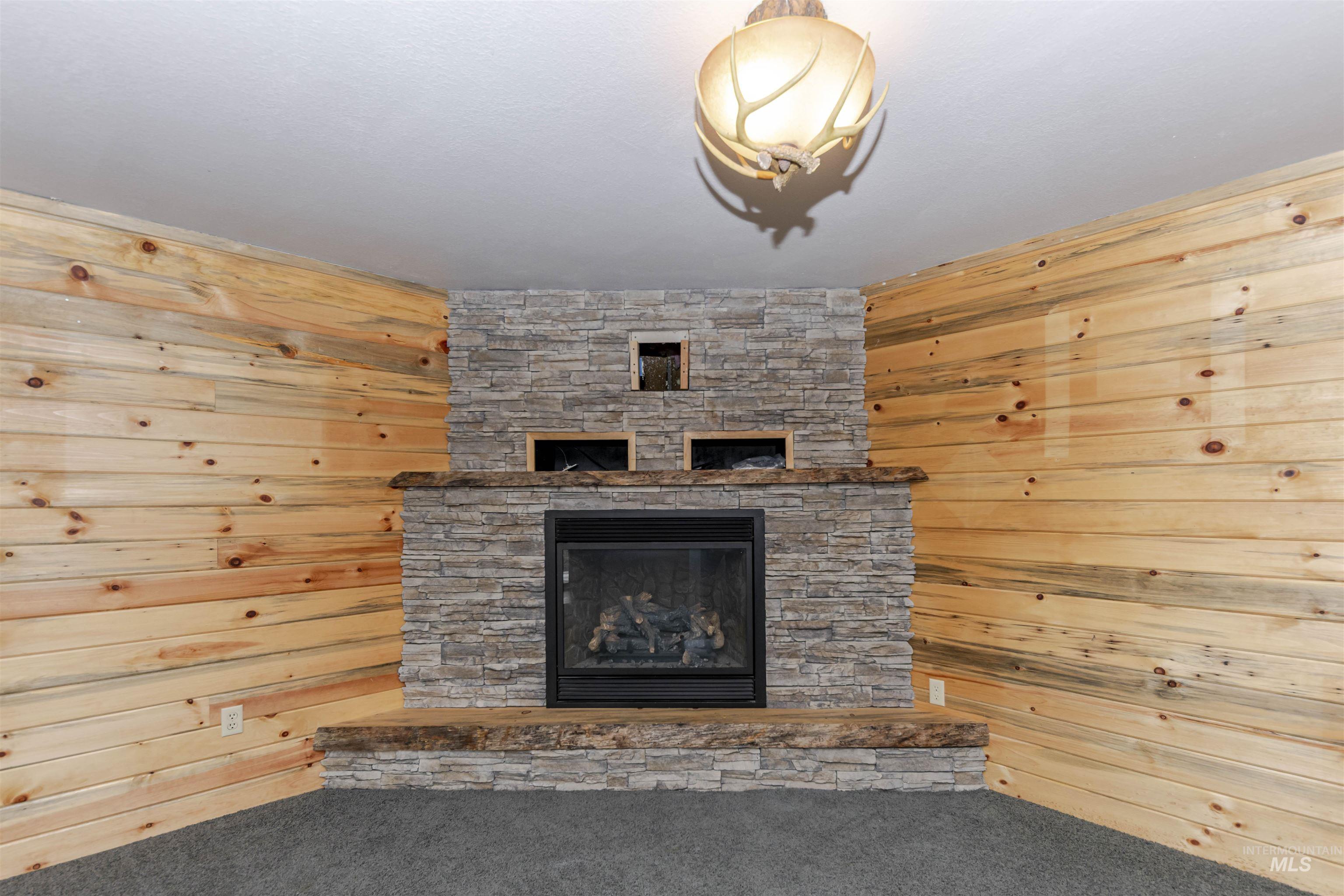 1316 29th Street Lewiston, ID 83501 - Photo 19 of 31 Family Room with carpet, a fireplace, and wooden walls in walkout basement
