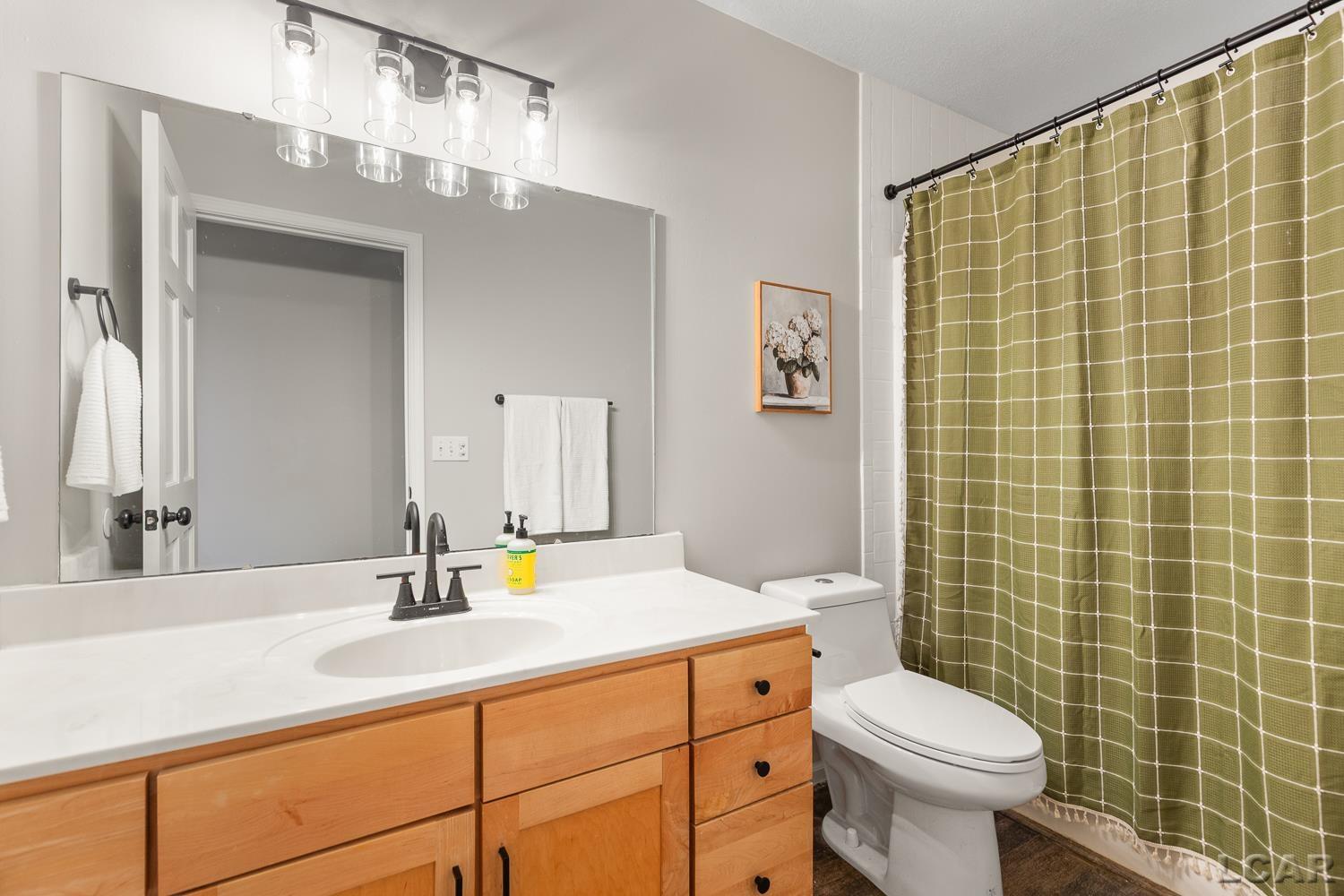 1494 East Gorman Road Adrian, MI 49221 - Photo 50 of 68