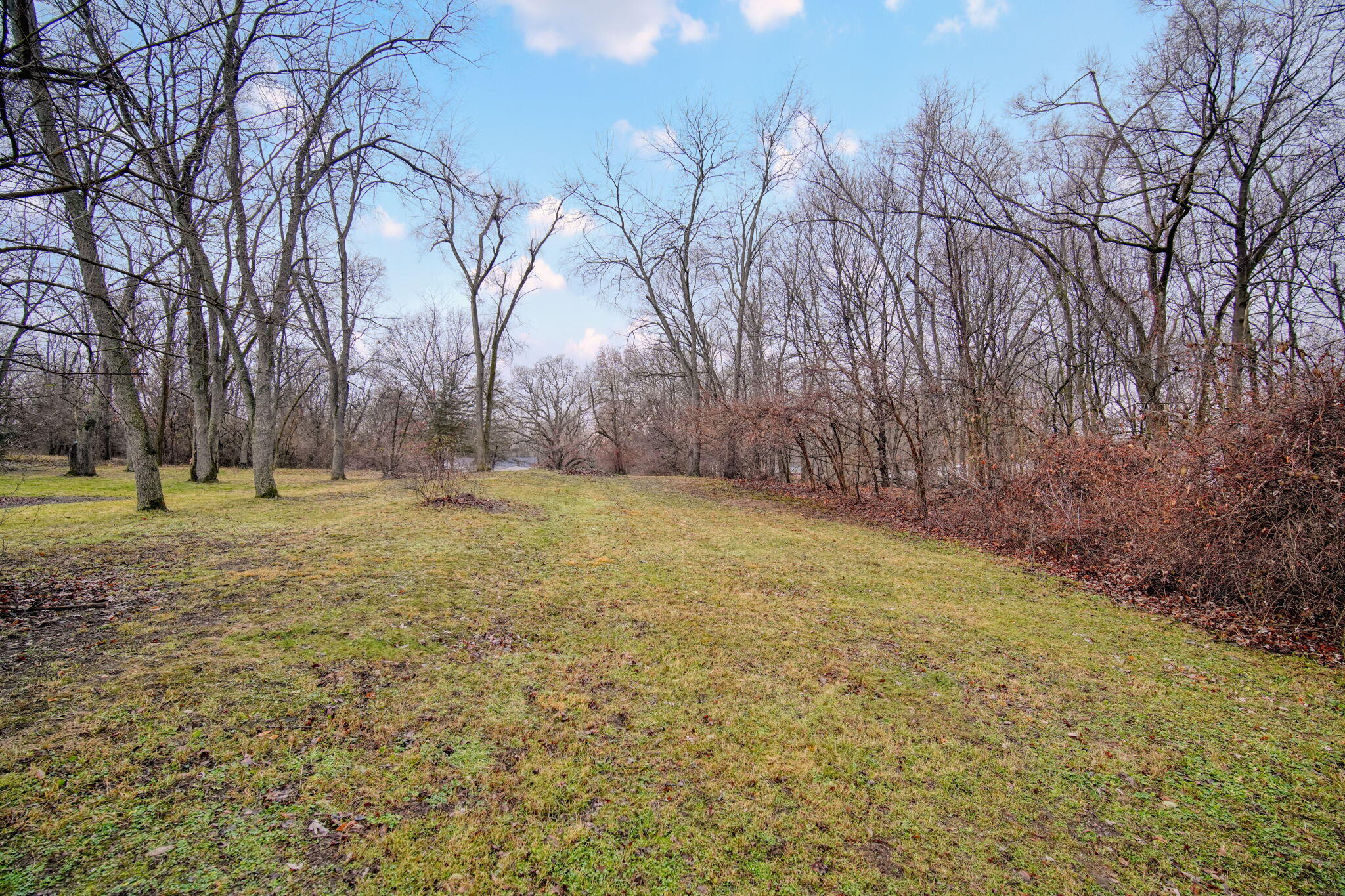 236 Hill Road Michigan Center, MI 49254 - Photo 8 of 33 8-web-or-mls-DSC04920_HDR