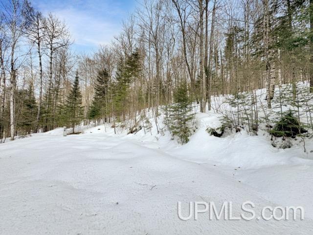 176 East Lake Emily Road Crystal Falls, MI 49920 - Photo 15 of 17