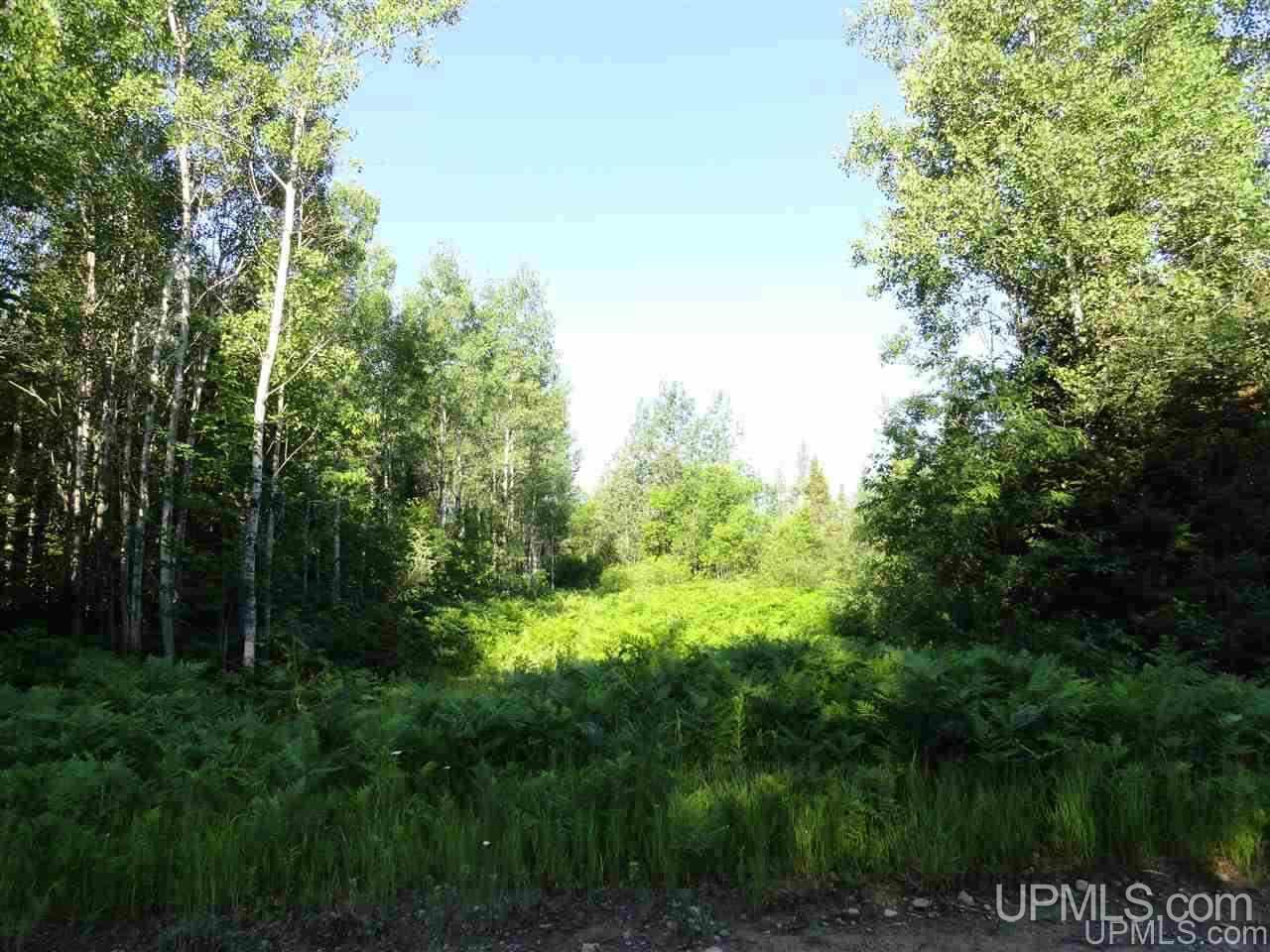 70-acres 70-acres Co Road Ishpeming, MI 49849 - Photo 2 of 7