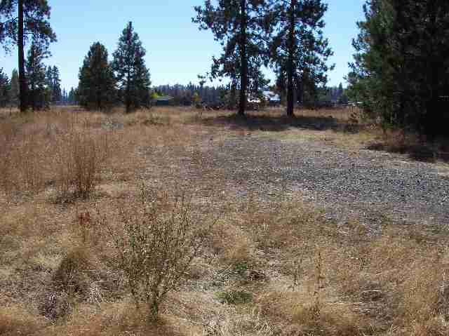 8215 West White Road Cheney, WA 99004 - Photo 1 of 9