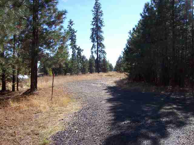 8215 West White Road Cheney, WA 99004 - Photo 4 of 9