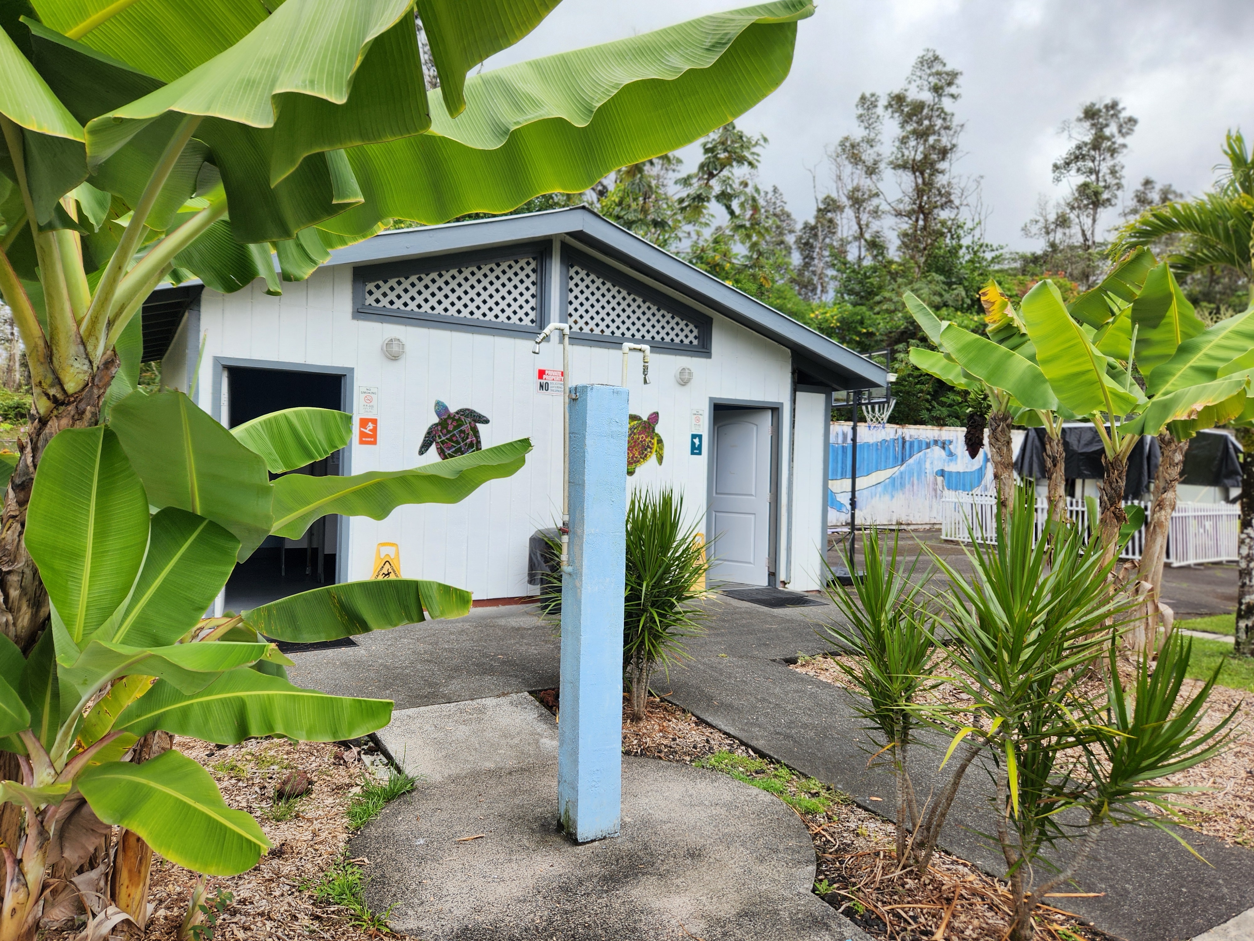 321 Molokai Road Pahoa, HI 96778 - Photo 6 of 9 Gallery Image 6