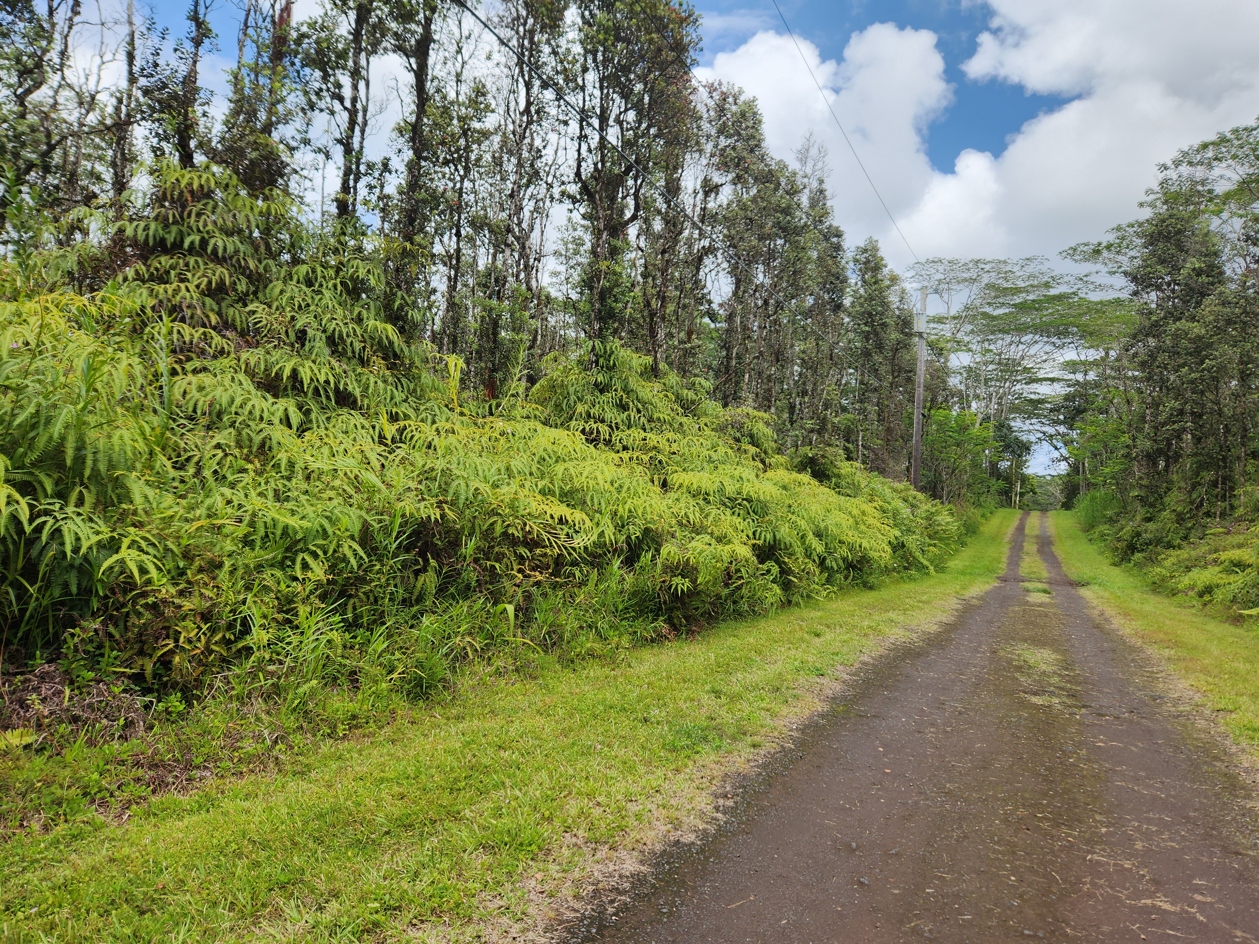 321 Molokai Road Pahoa, HI 96778 - Photo 8 of 9 Gallery Image 8