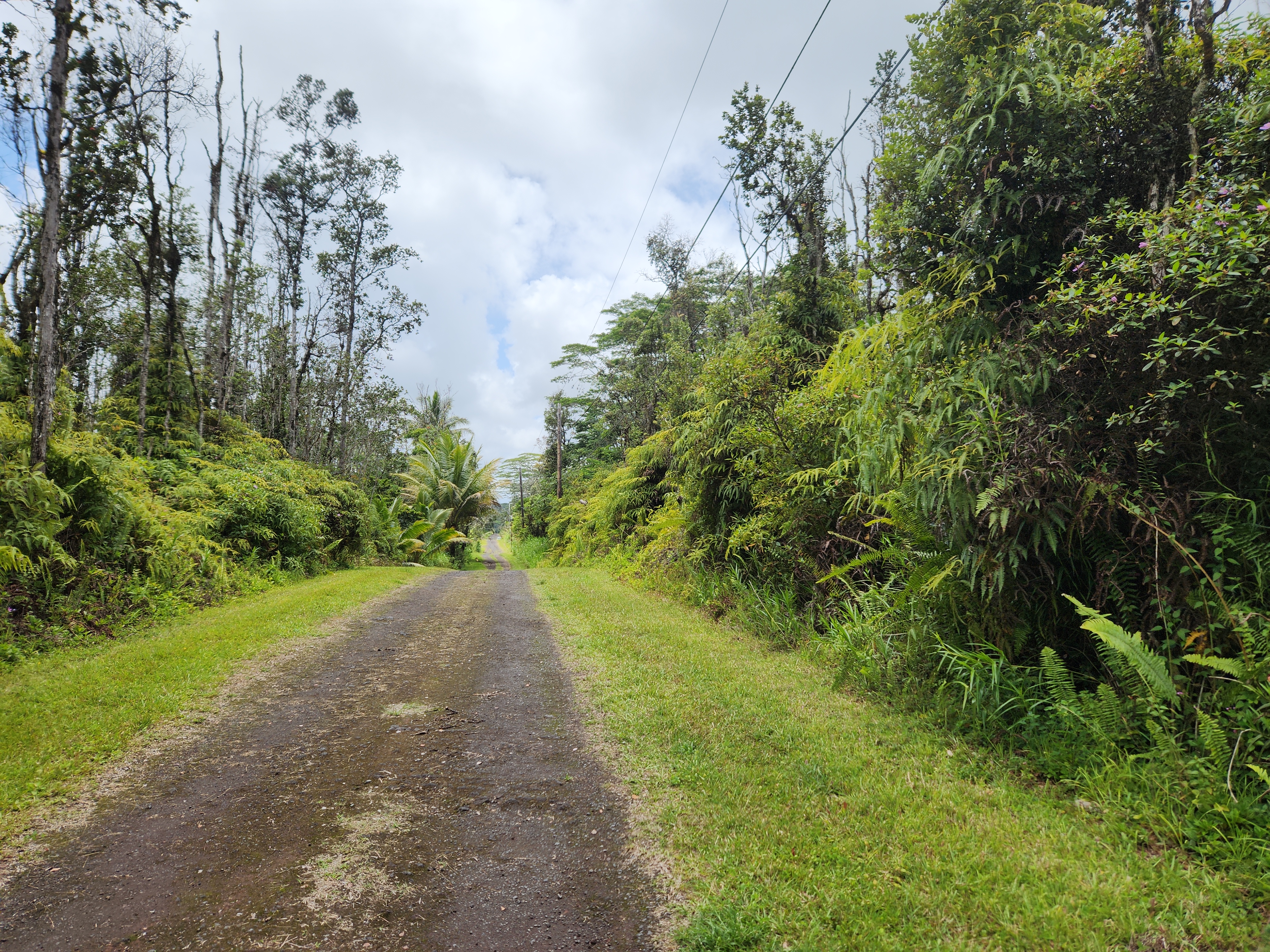 321 Molokai Road Pahoa, HI 96778 - Photo 9 of 9 Gallery Image 9