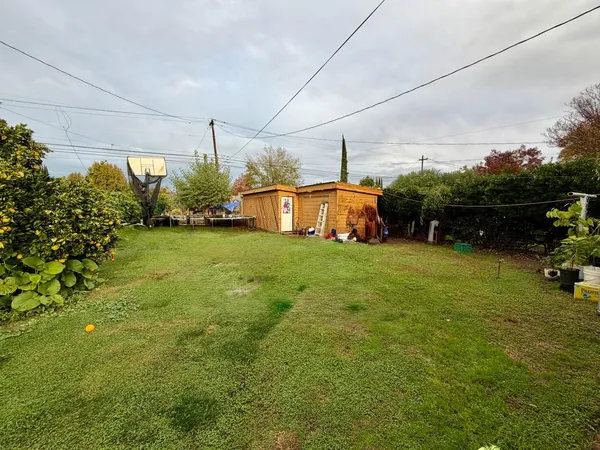 a view of a big yard with potted plants