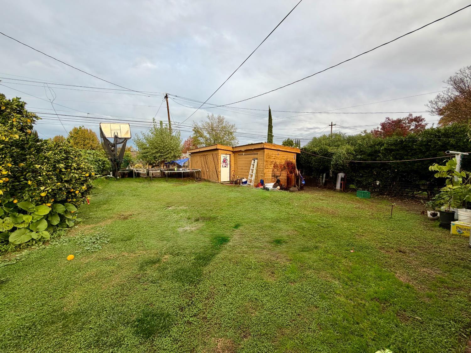 313 South K Street Madera, CA 93637 - Photo 19 of 19 a view of a big yard with potted plants