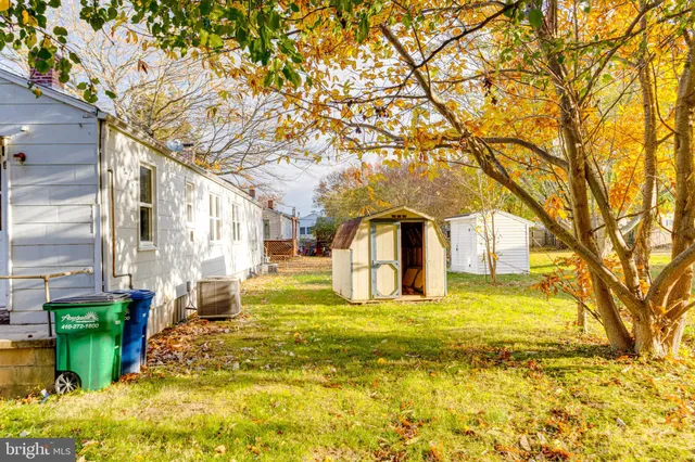 a view of park with large trees