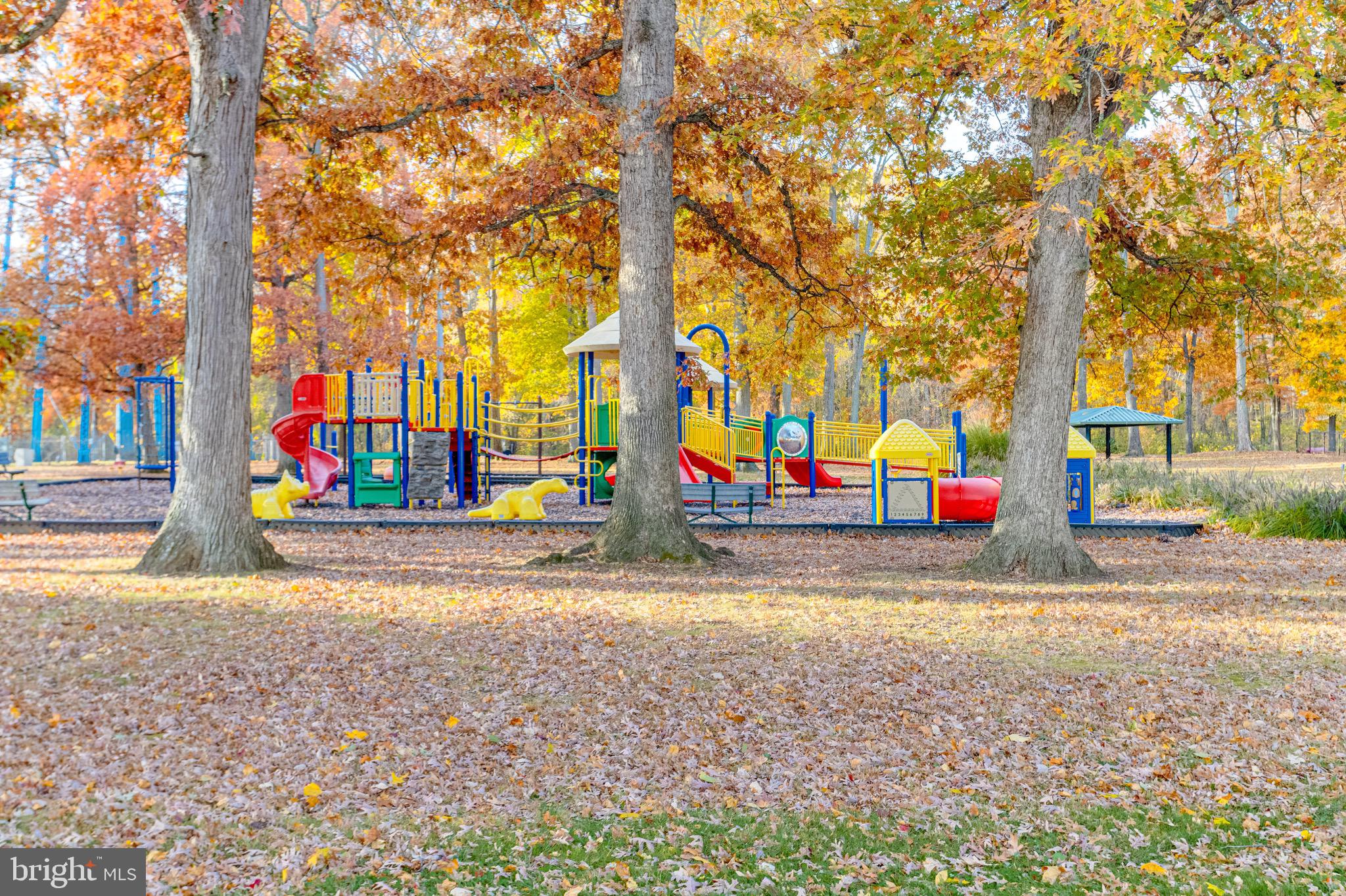 2 Chesapeake Court Aberdeen, MD 21001 - Photo 30 of 35 a view of park with large trees