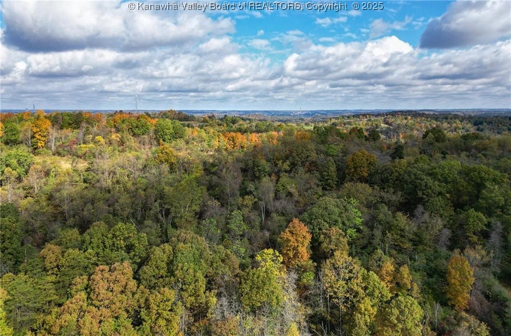 0 Baier Ridge Road Cottageville, WV 25239 - Photo 10 of 16 Gallery Image 10