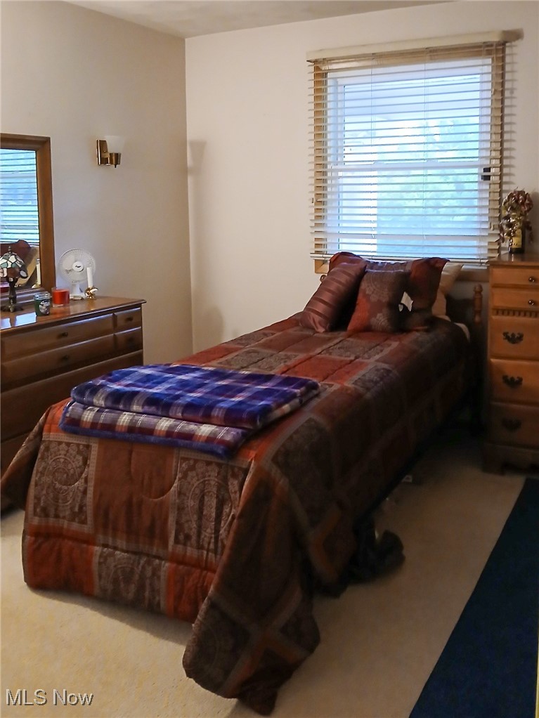 4875 Cadwallader-Sonk Road Fowler, OH 44418 - Photo 35 of 50