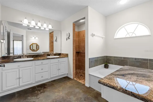 a bathroom with a tub a sink and a mirror