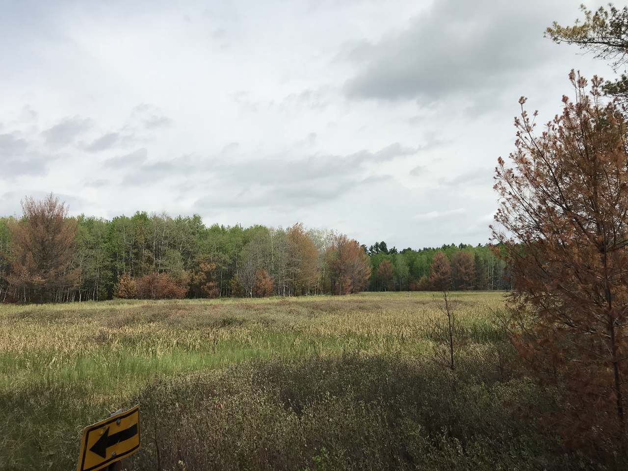 50-acres Oak Road Hazelhurst, WI 54531 - Photo 11 of 14 Gallery Image 11