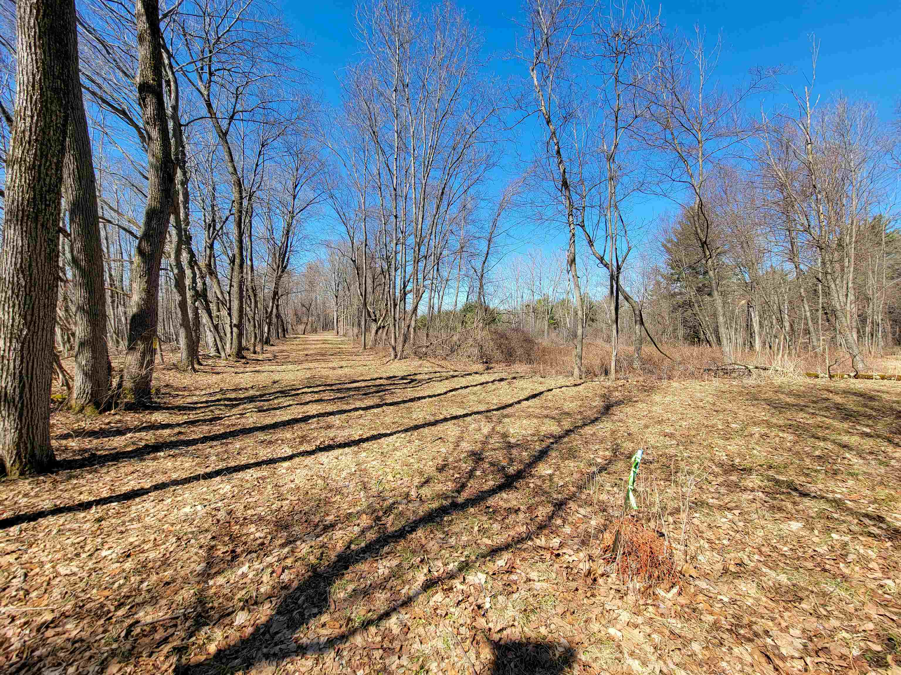 399 Bard Road Bennington, VT 05201 - Photo 26 of 60 Gallery Image 26