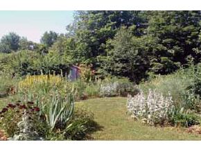316 Greenfield Road Bennington, NH 03442 - Photo 3 of 5