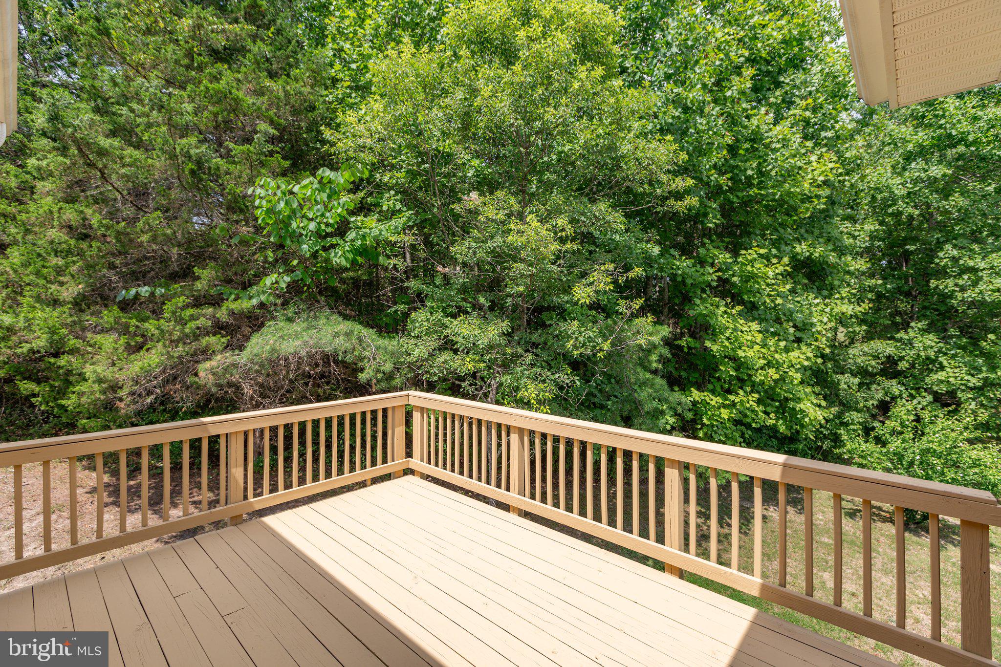 749 Daniel Road Louisa, VA 23093 - Photo 44 of 97