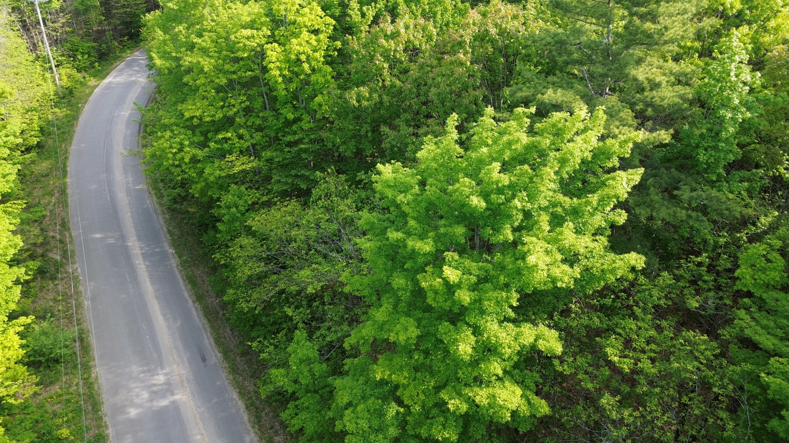 M5-l16 Clark Road Prospect, ME 04981 - Photo 8 of 45 DJI_0127