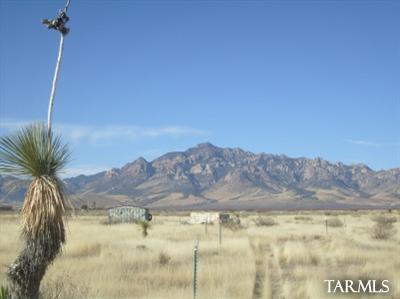 0 Rodeo Ranch Rodeo, AZ 88056 - Photo 2 of 4