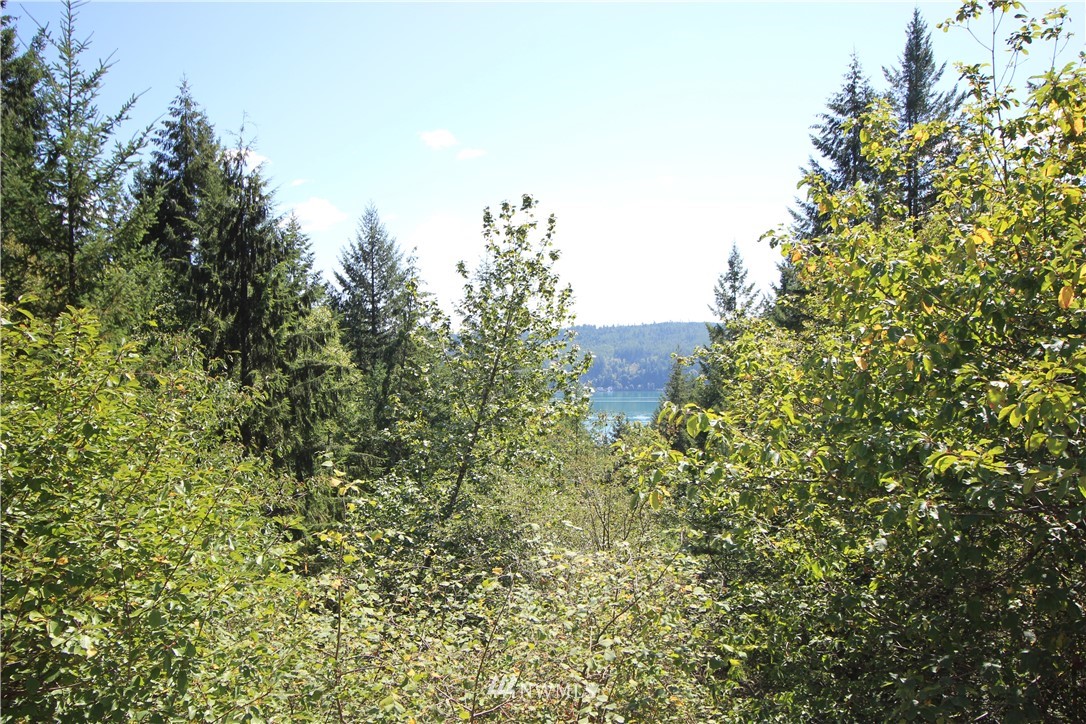 840 Northeast Hurd Road Belfair, WA 98528 - Photo 1 of 30 Gallery Image 1