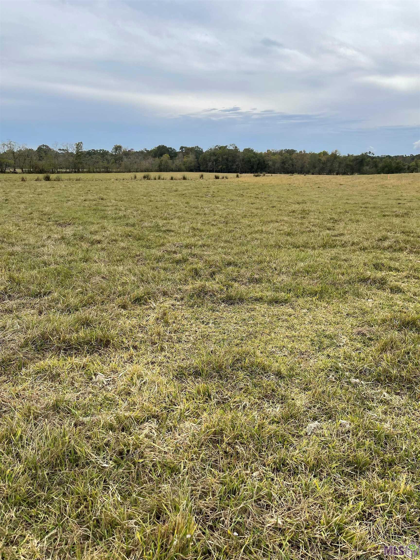 Lot 17-a&b Hoo Shoo Too Road Baton Rouge, LA 70817 - Photo 2 of 4