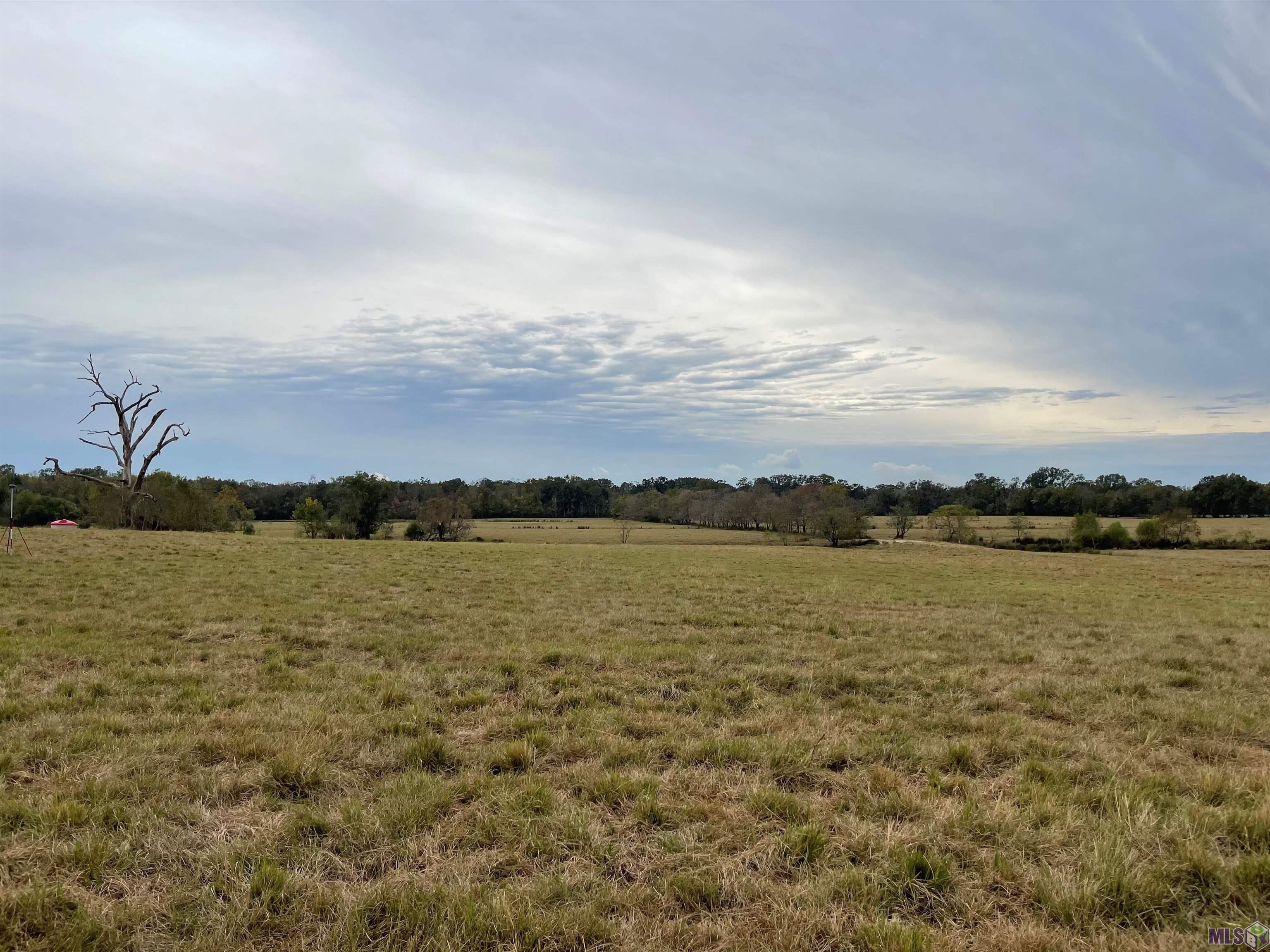 Lot 17-a&b Hoo Shoo Too Road Baton Rouge, LA 70817 - Photo 3 of 4