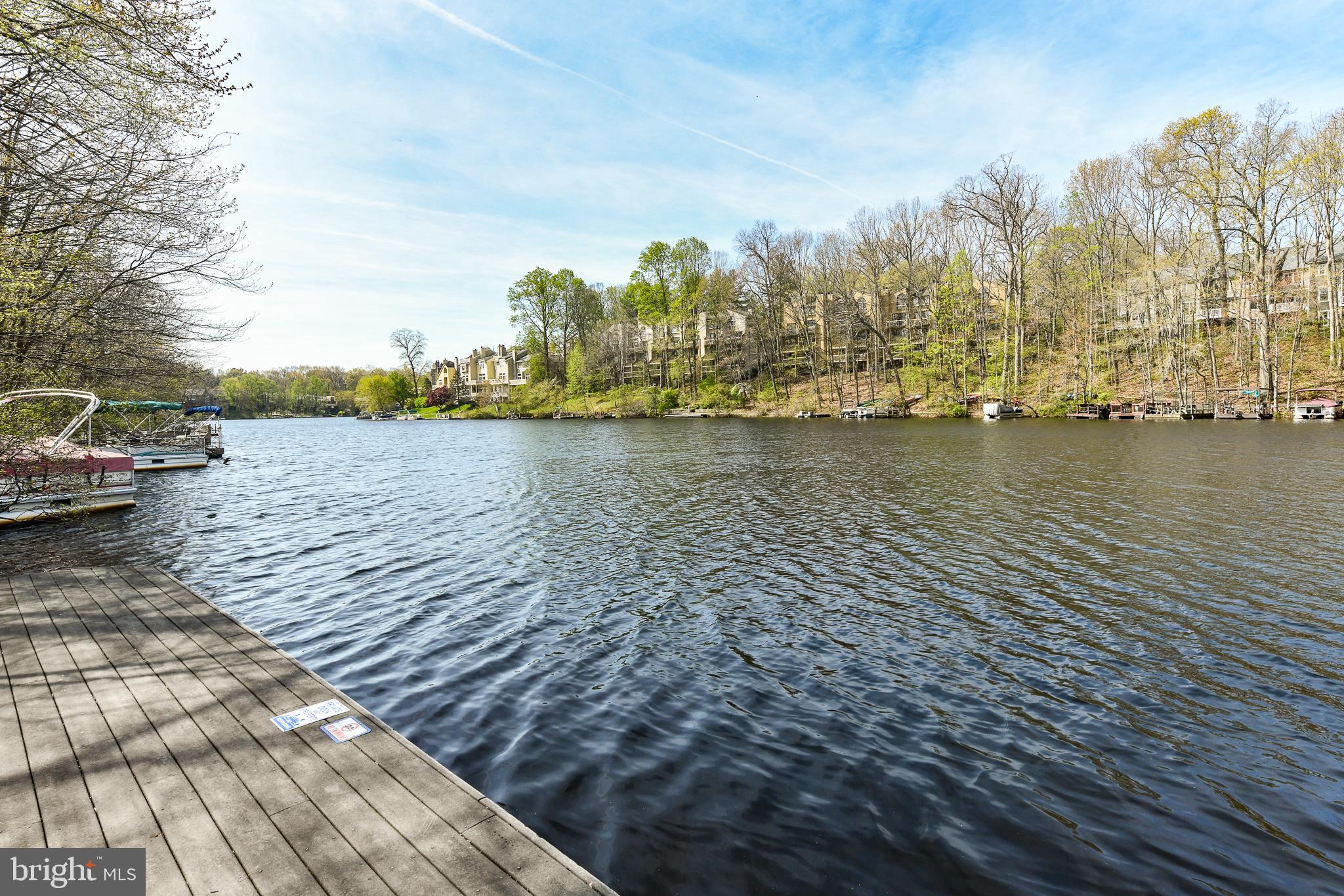 2048 Beacon Heights Drive Reston, VA 20191 - Photo 7 of 74 Lake Audubon