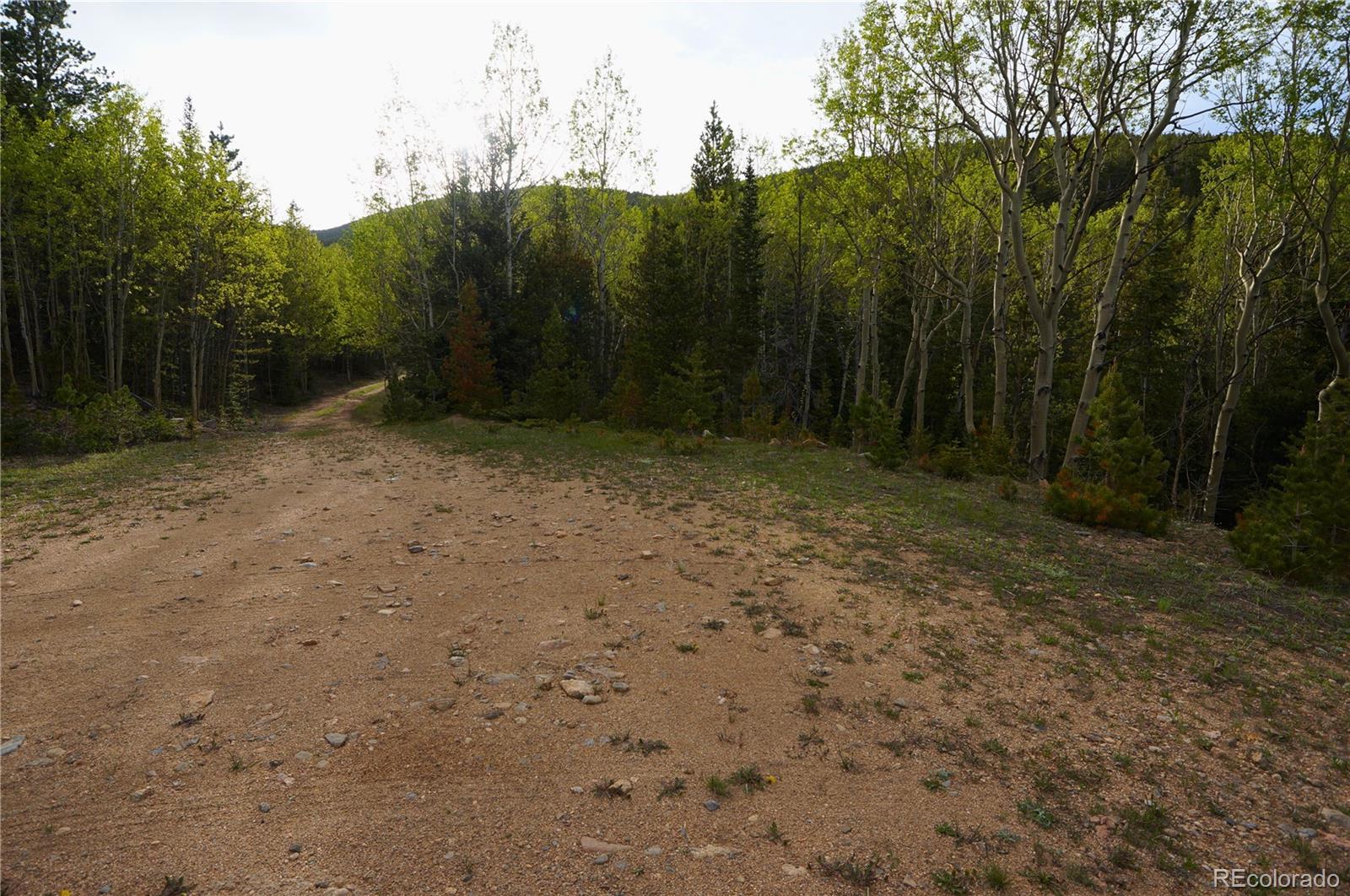 0 Trail Creek Road Idaho Springs, CO 80452 - Photo 6 of 16