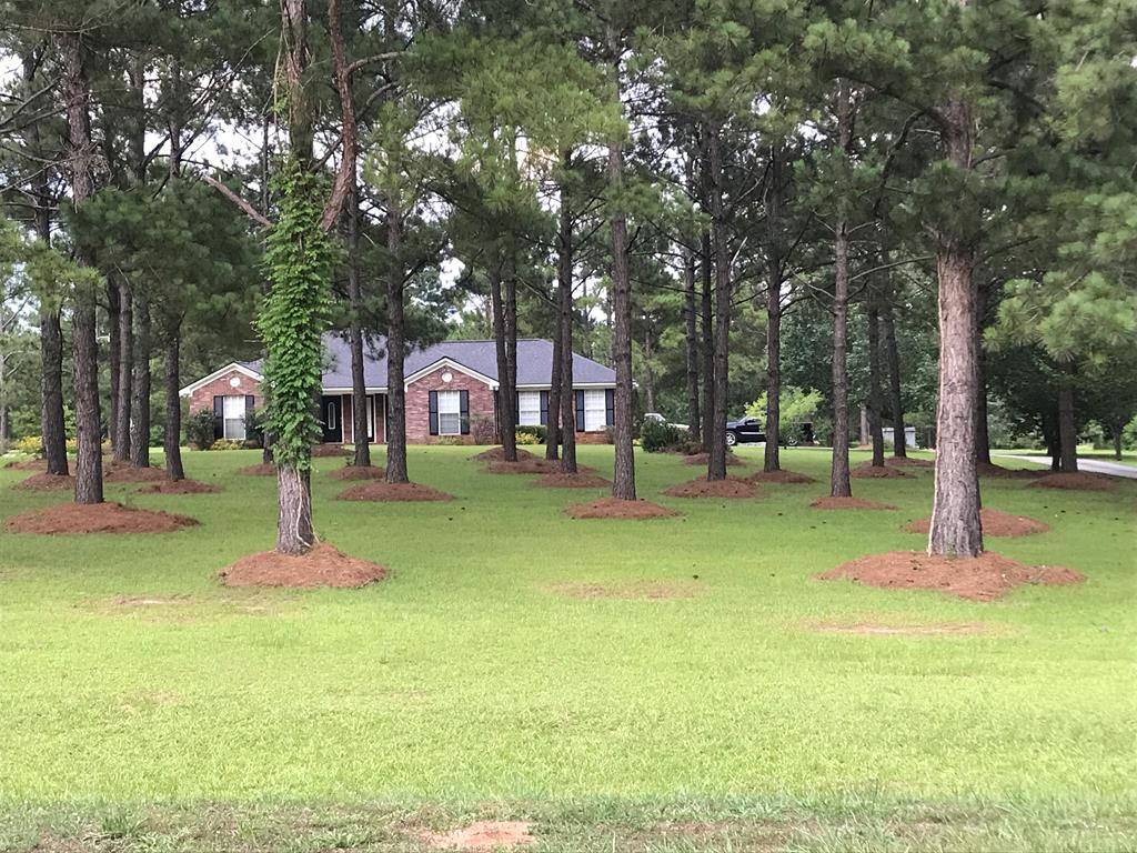6024 Story Mill Road Keysville, GA 30816 - Photo 3 of 22