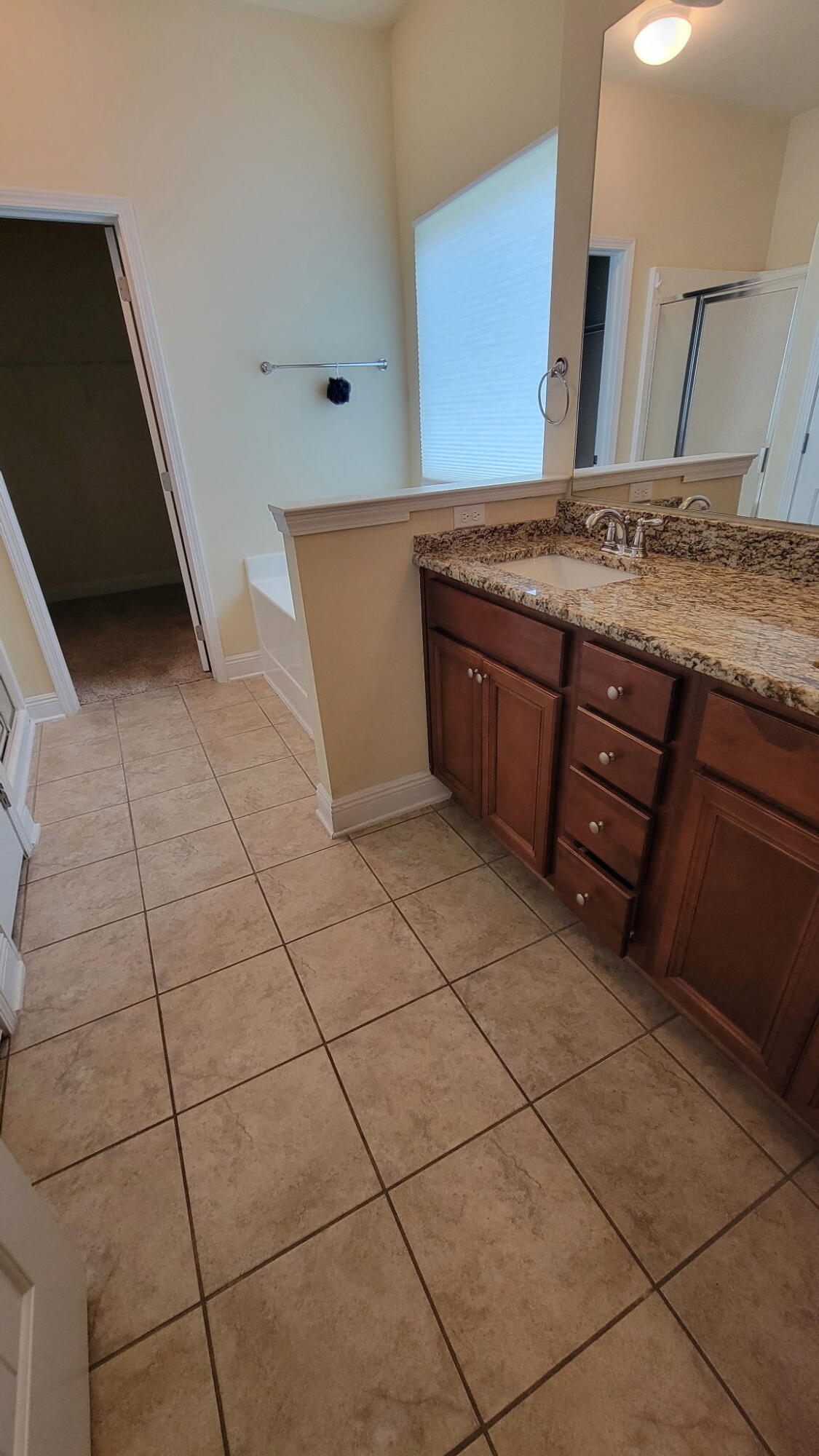 1058 Cocobolo Drive Santa Rosa Beach, FL 32459 - Photo 11 of 26 a spacious bathroom with a granite countertop sink and a mirror