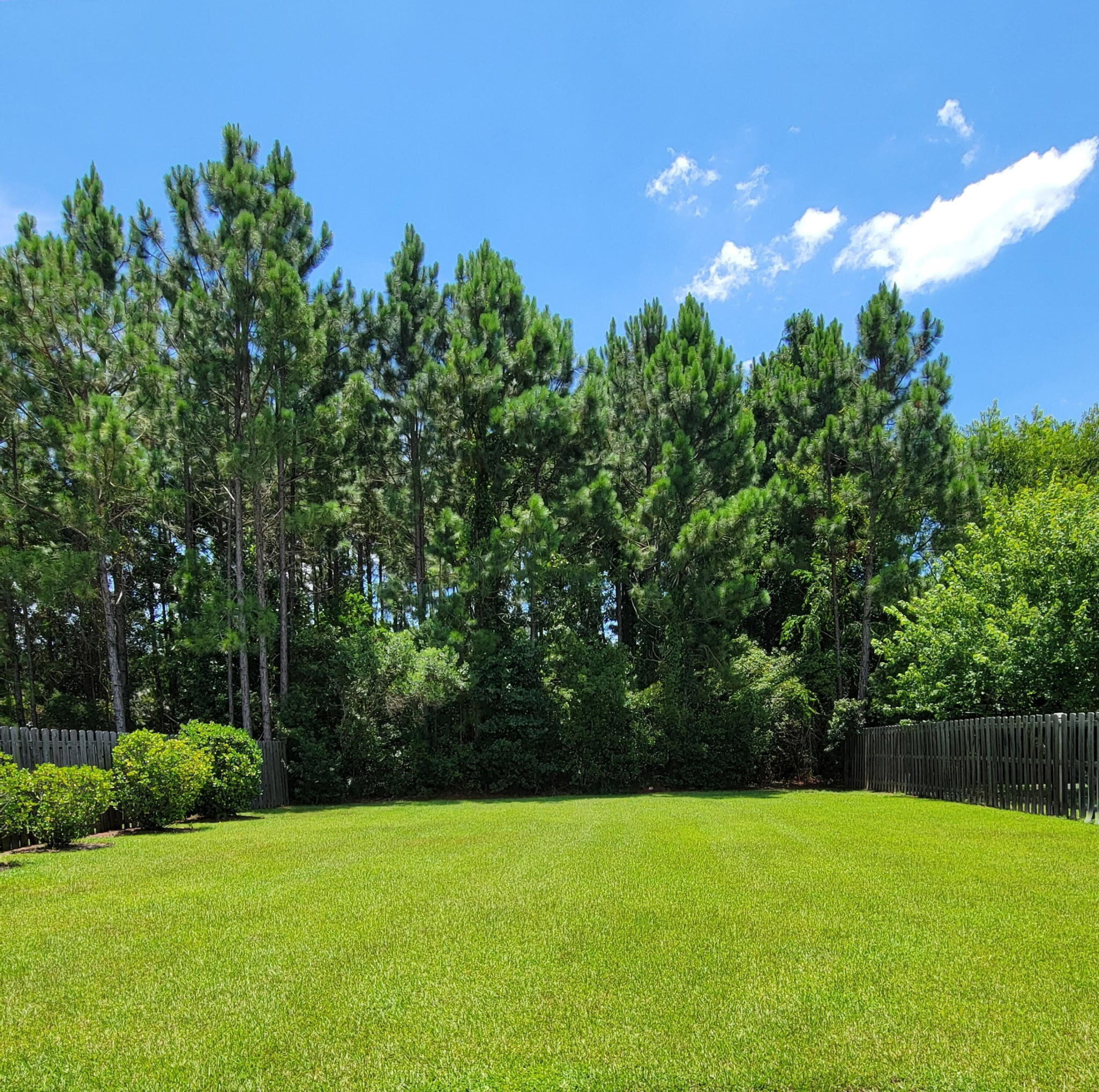 1058 Cocobolo Drive Santa Rosa Beach, FL 32459 - Photo 15 of 26 a view of a back yard