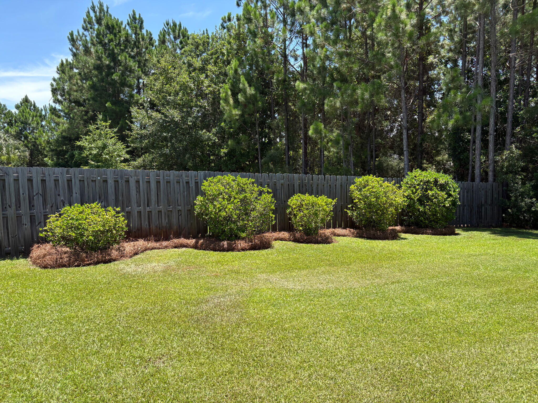 1058 Cocobolo Drive Santa Rosa Beach, FL 32459 - Photo 16 of 26 a view of garden with plants and trees