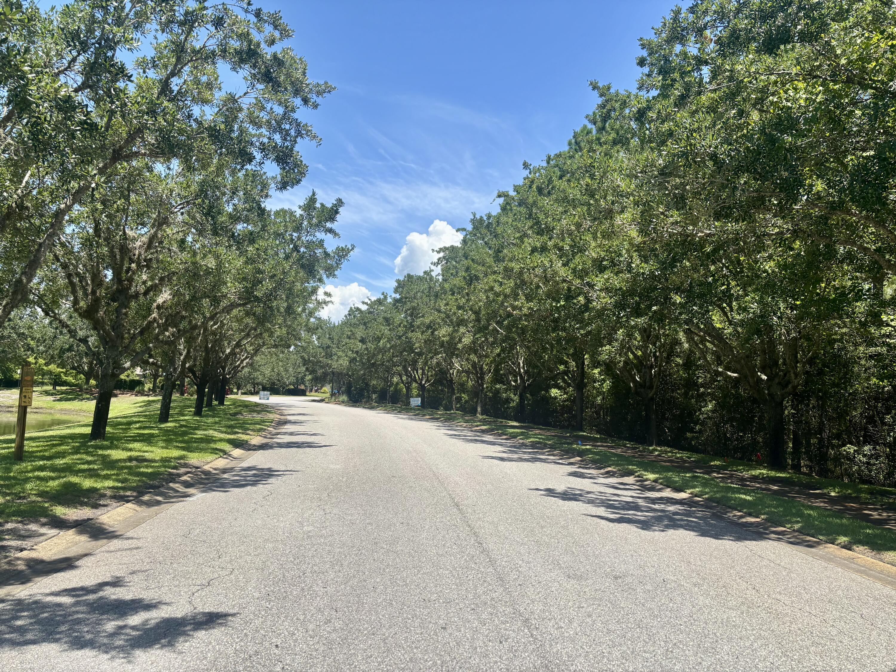 1058 Cocobolo Drive Santa Rosa Beach, FL 32459 - Photo 19 of 26 a view of a road with a yard