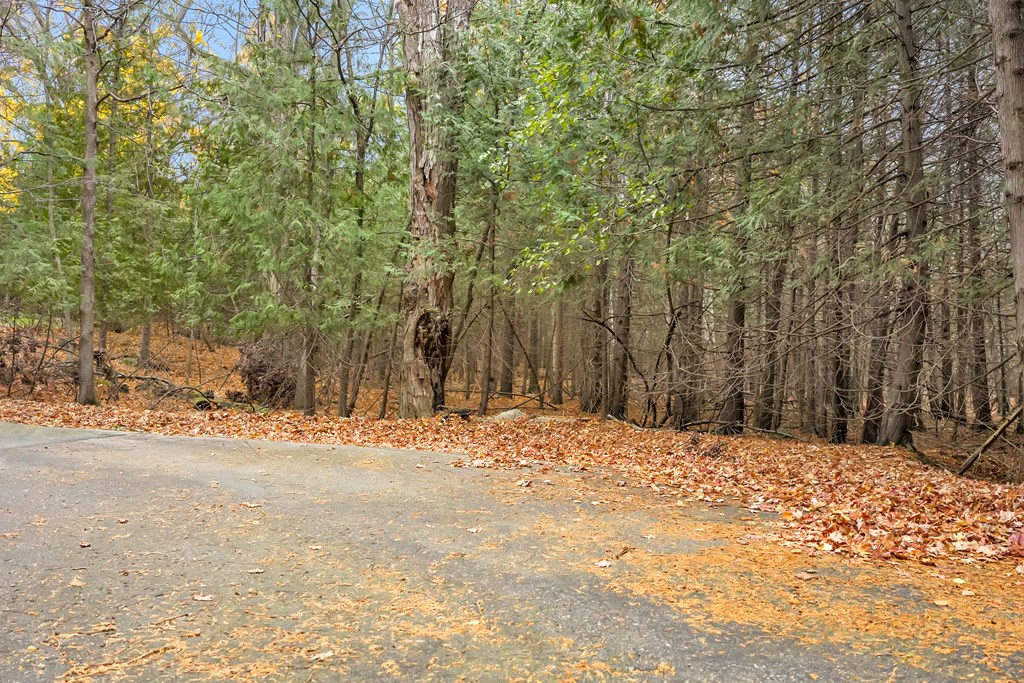 Tbd Maple Ridge Road Egg Harbor, WI 54209 - Photo 11 of 16 Gallery Image 11