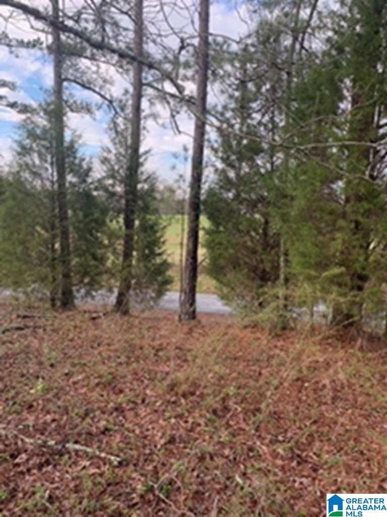 0 Truss Ferry Road, Unit 1 Lincoln, AL 35096 - Photo 4 of 11