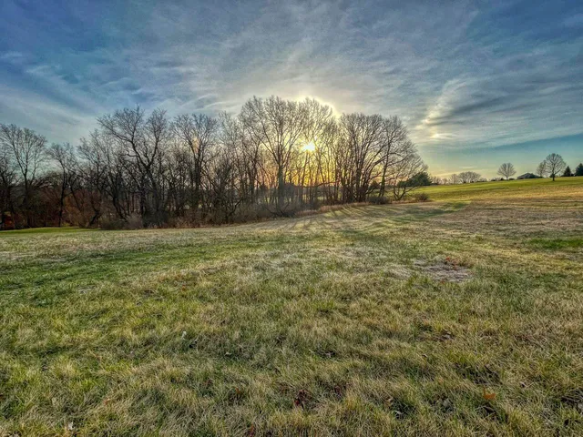a view of a field with an trees
