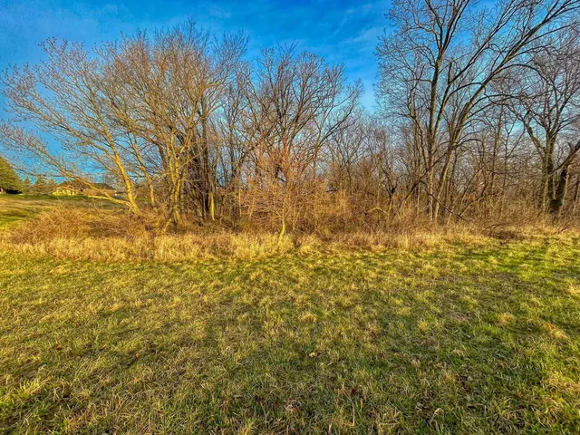 a view of a yard of the house