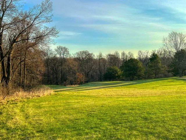 a view of a swimming pool and trees in the background