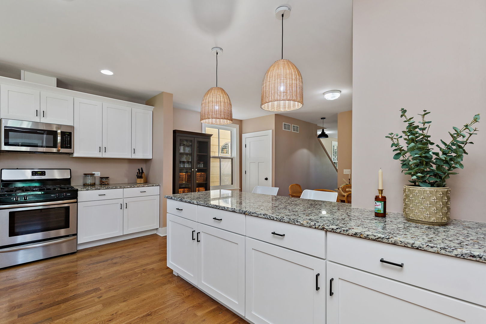 273 North Spring Street Elgin, IL 60120 - Photo 4 of 28