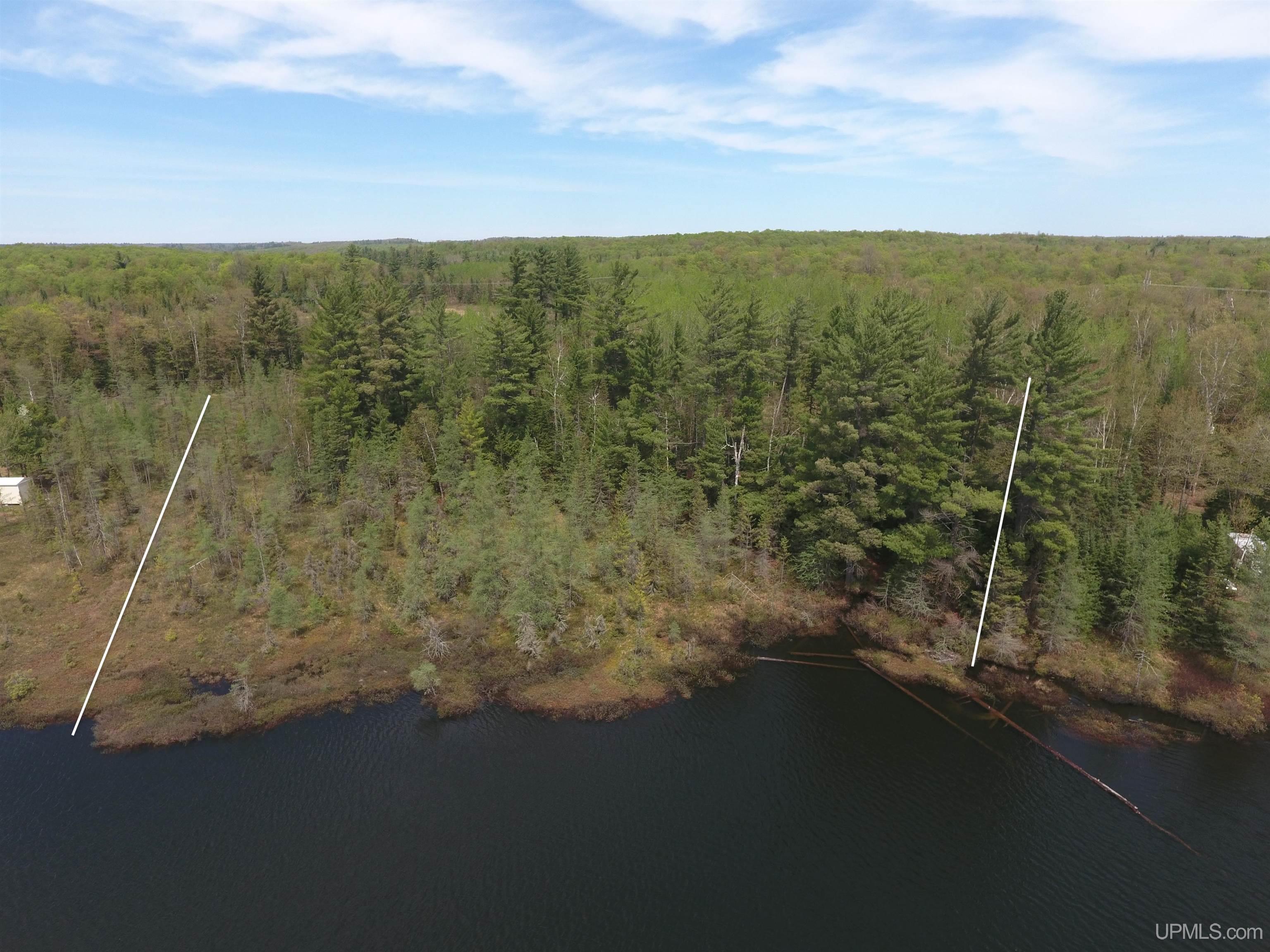 22004 South Olson Lake Road Michigamme, MI 49861 - Photo 5 of 14