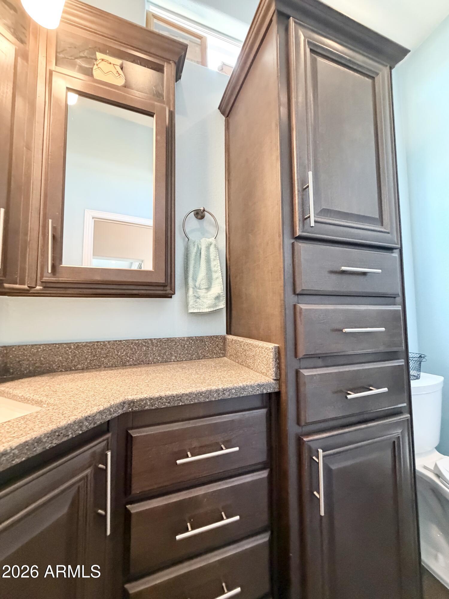 111 South Greenfield Road, Unit 753 Mesa, AZ 85206 - Photo 23 of 66