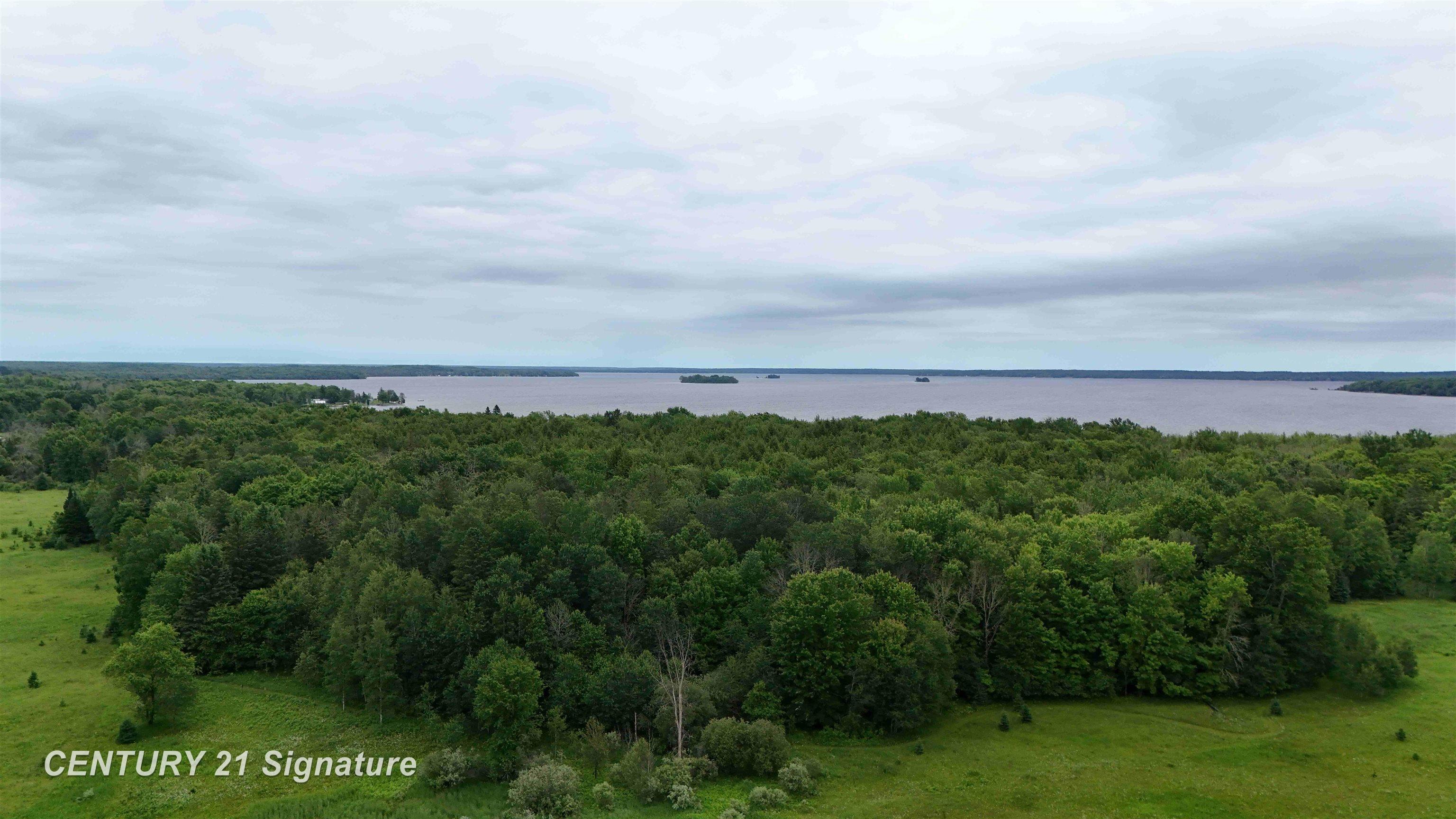 477 County Road 477 Road McMillan, MI 49853 - Photo 3 of 23