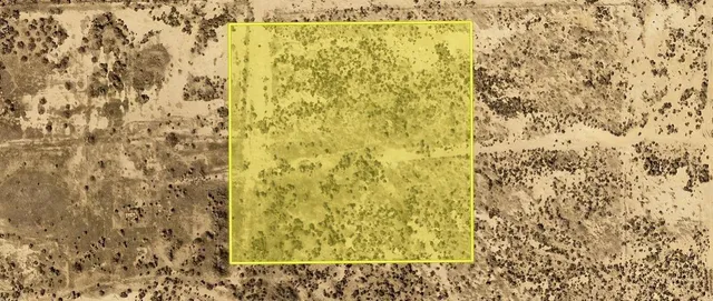 a bathroom with a shower curtain