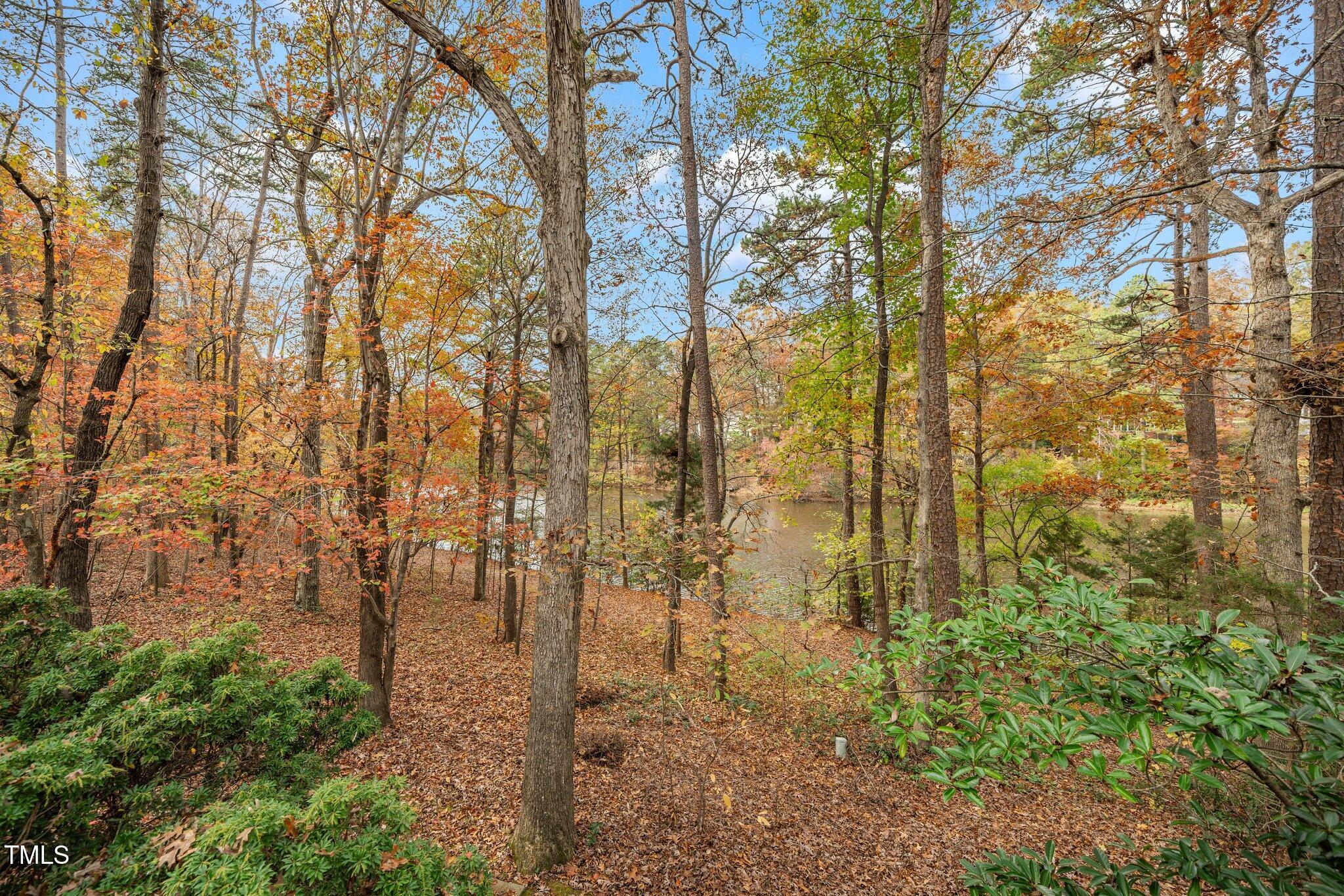 7827 Breckon Way Raleigh, NC 27615 - Photo 26 of 28 29-web-or-mls-7827 Breckon (97 of 180)