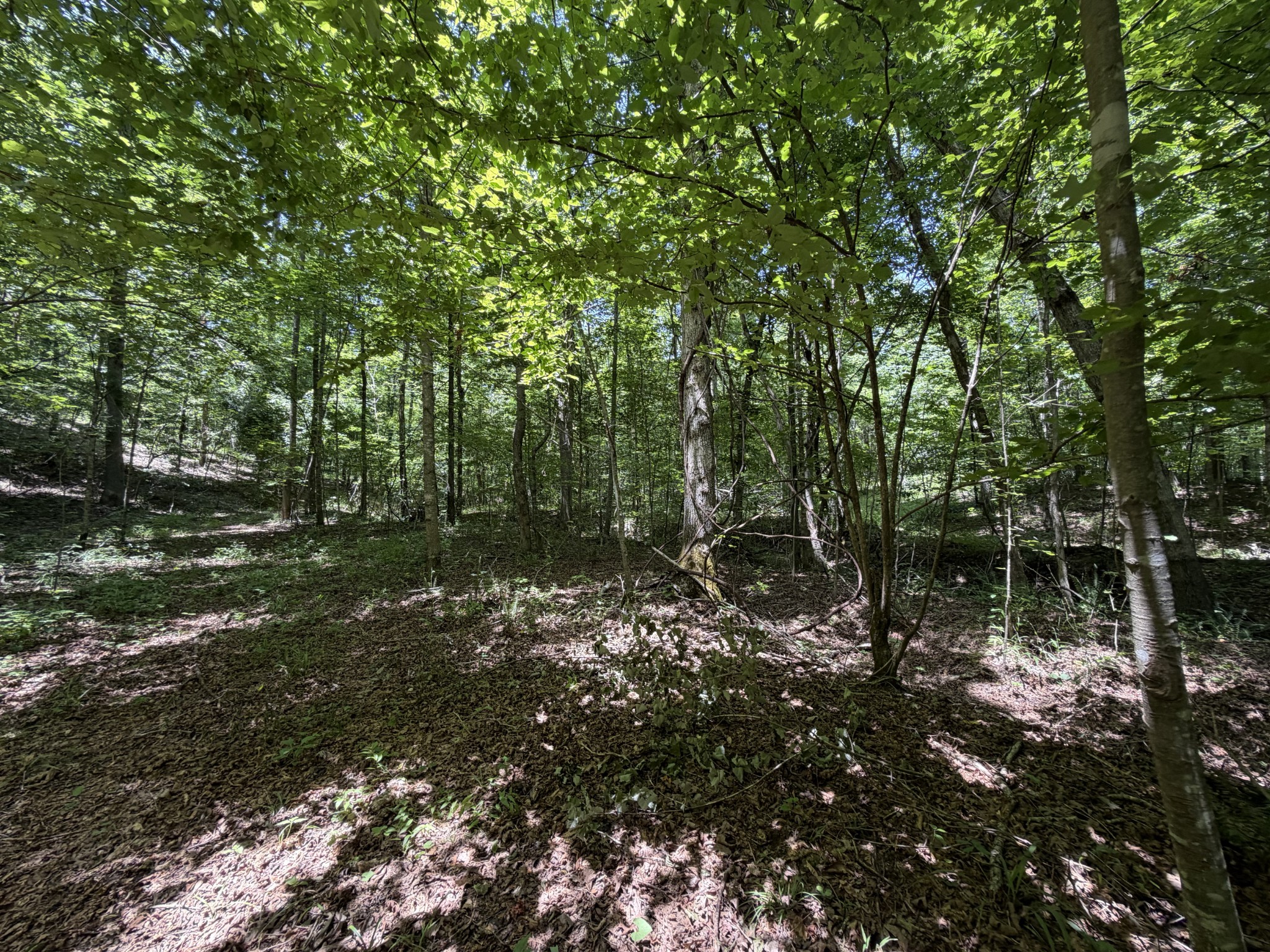 215 Bar Bee Road Hohenwald, TN 38462 - Photo 18 of 51