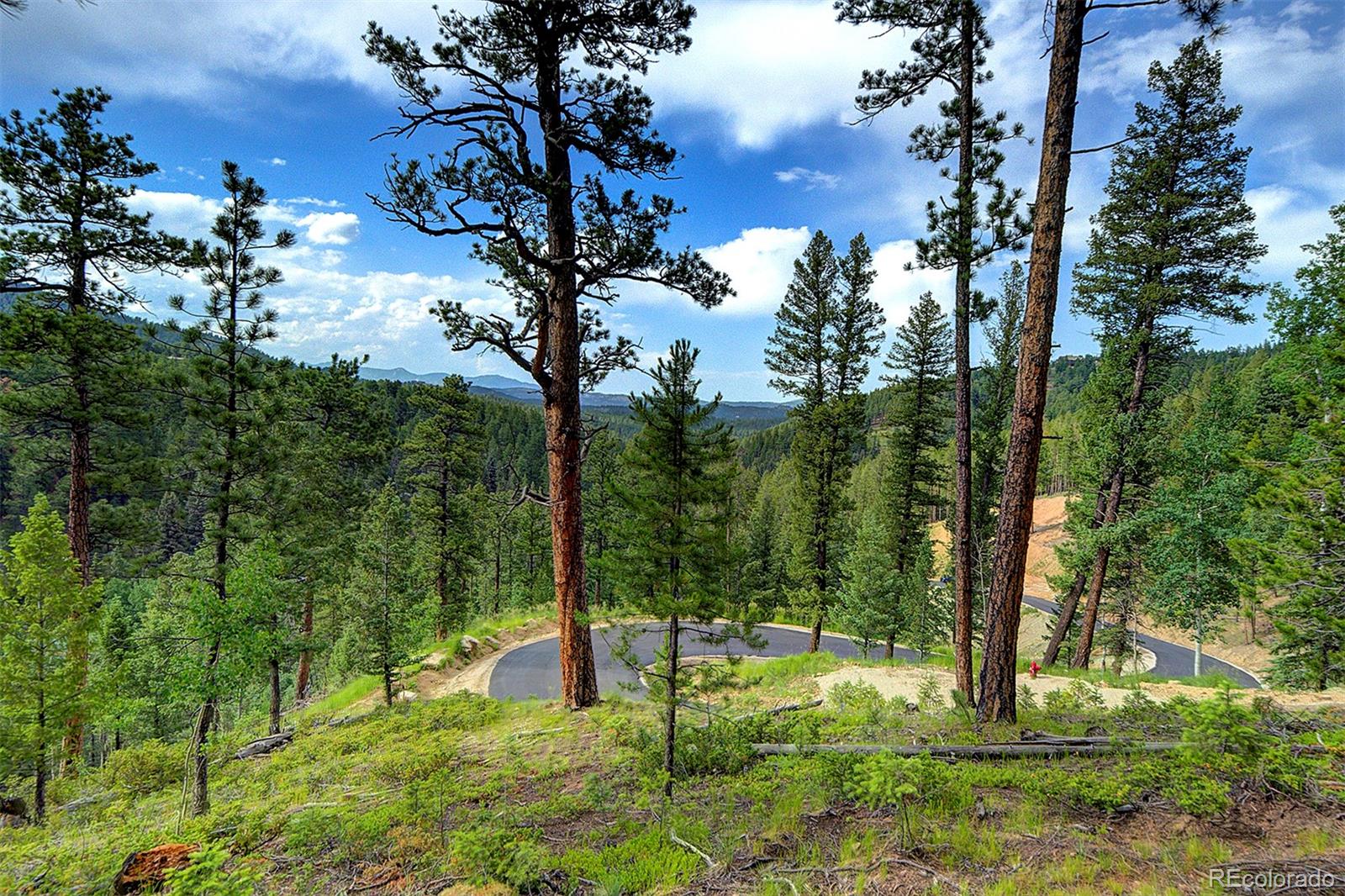 6855 Lynx Lair Road Evergreen, CO 80439 - Photo 4 of 14 a view of a garden