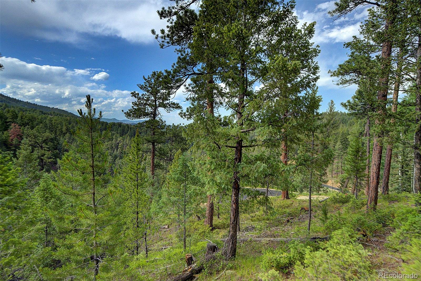 6855 Lynx Lair Road Evergreen, CO 80439 - Photo 6 of 14 a view of a garden