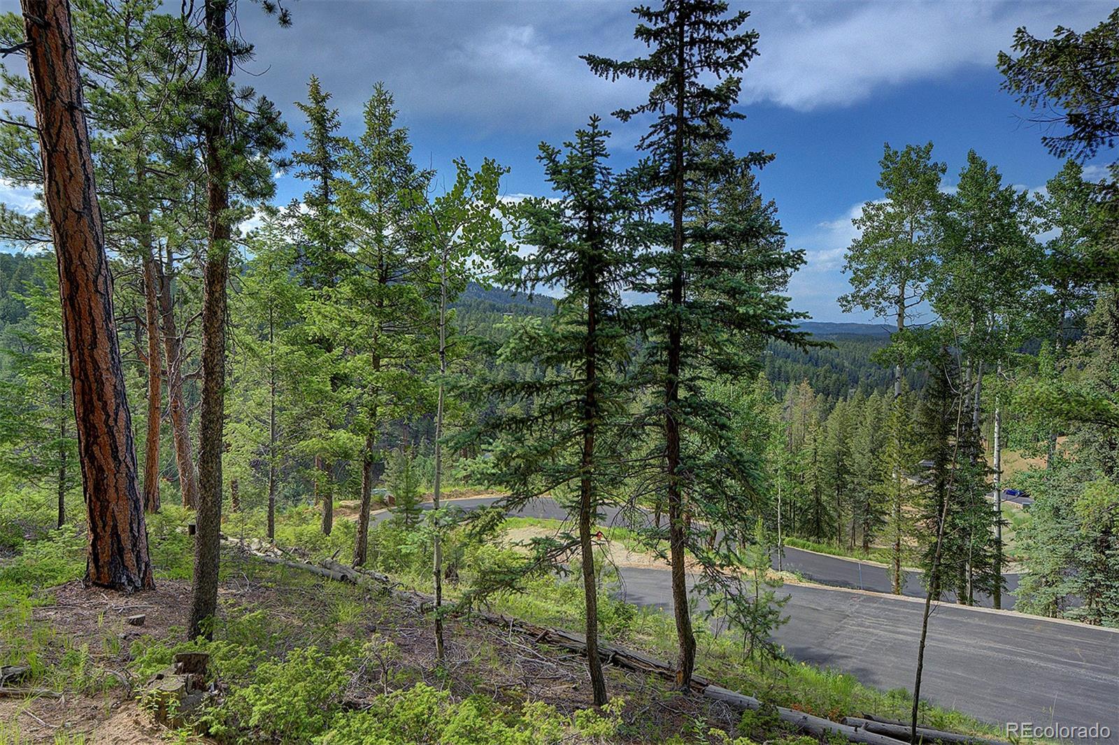 6855 Lynx Lair Road Evergreen, CO 80439 - Photo 7 of 14 a view of a trees in a yard