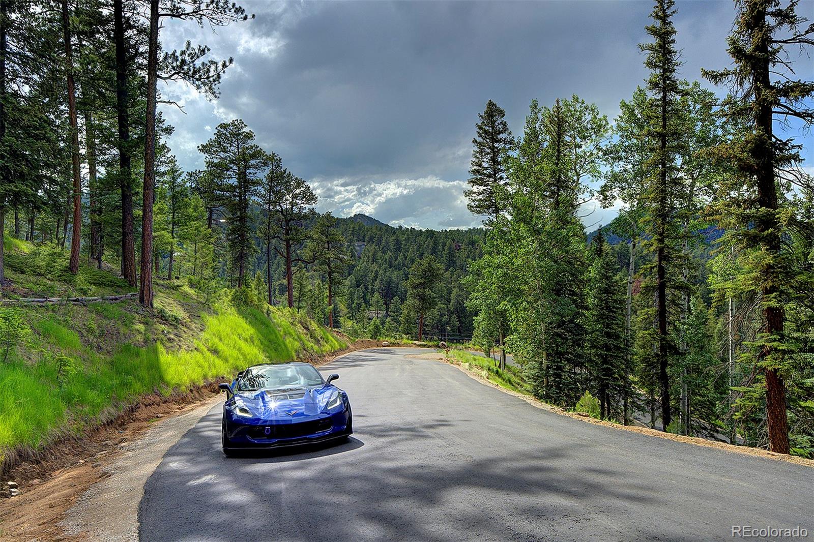 6855 Lynx Lair Road Evergreen, CO 80439 - Photo 8 of 14 a garden view with a seating space