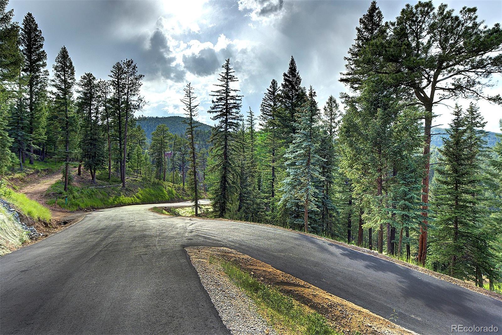 6855 Lynx Lair Road Evergreen, CO 80439 - Photo 9 of 14 a view of a street